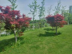 -艾溪湖湿地公园