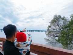 -宝安西湾红树林湿地公园