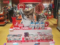 -MARSMART PETS火星宠物超市(1733店)