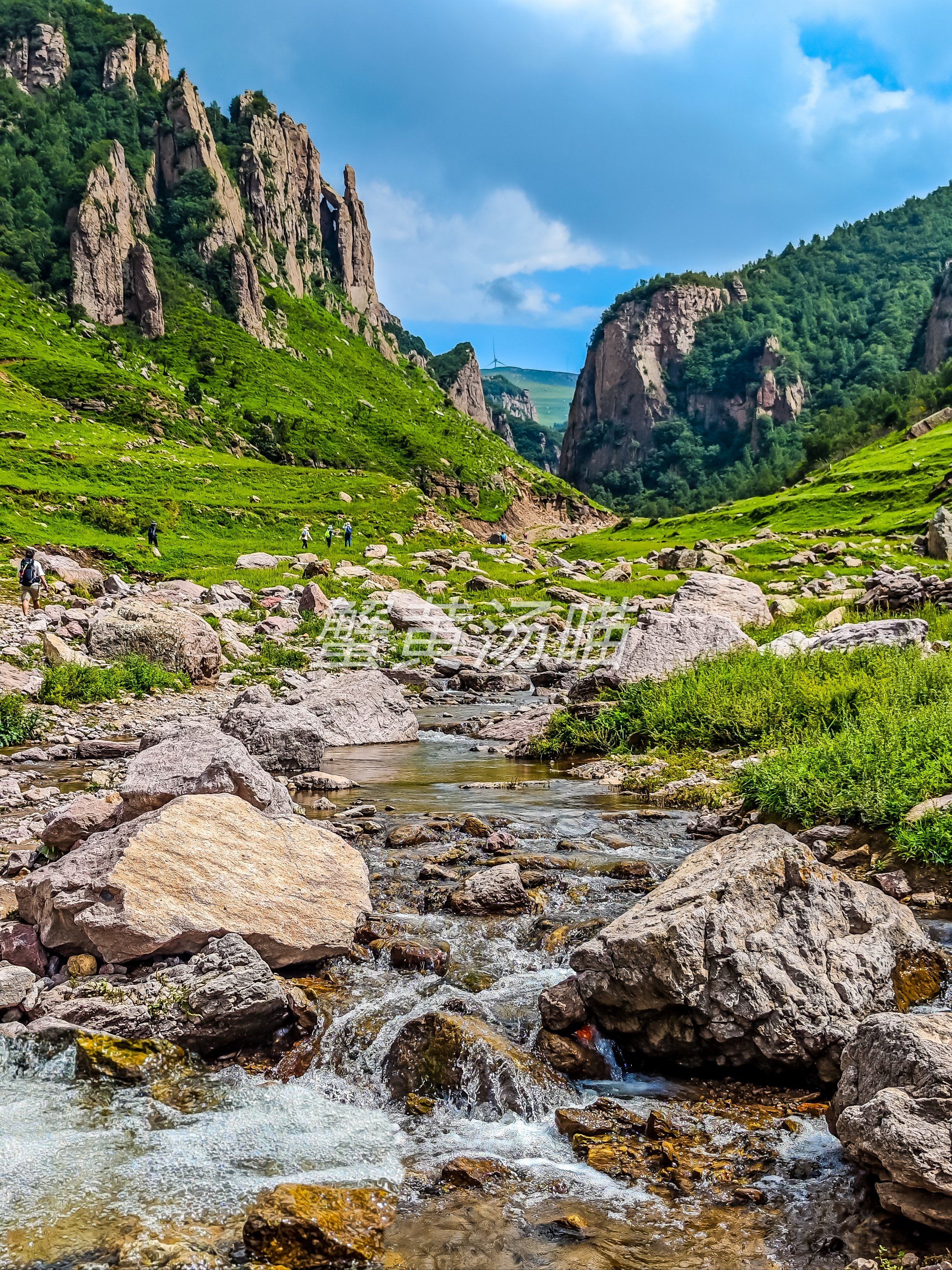 东甸子梁 ⛰️雨后徒步🌧溪流再现🌊见牛牛