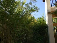 -三亚亚龙湾五号度假别墅酒店