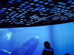 -同济大学四平路校区深海探索馆