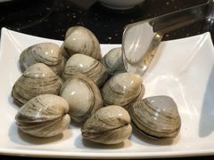 蚬子-丹东丛炟海鲜烧烤(江艺路店)