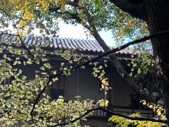 -钦善斋(武侯祠店)