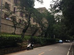 -武汉大学-樱园