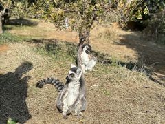 -杭州野生动物世界