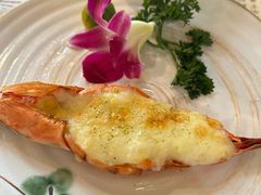 -衣川小森林·料理·寿司(鸿铭中心店)