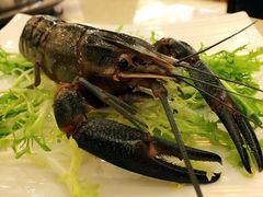 -牡丹国际大酒店-港式茶餐厅