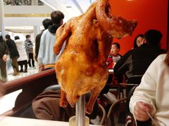 来自星星的跳舞鸡-新发现(苏州中心商场店)