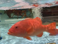 -阿伟海鲜楼·福建菜(延寿店)