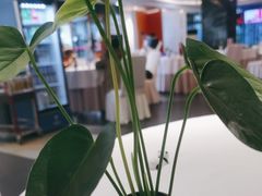 -眉州东坡(通州店)