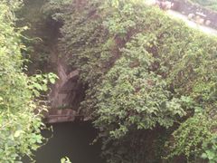 -东方明珠国际旅行社有限公司