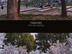 -龙美术馆(西岸馆)