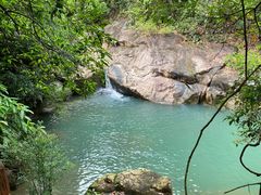 -广州白江湖森林公园