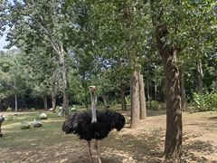 -大连森林动物园