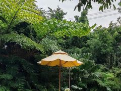 -柠檬花院烤肉·会议团建·聚会·求婚(三圣乡店)