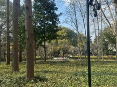 -徐家汇源景区-衡山公园