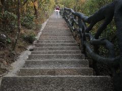 -梧桐山风景名胜区
