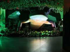 -横店影视城梦幻谷园区