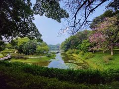 -东莞植物园