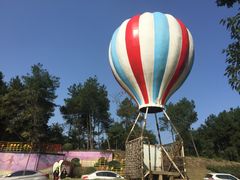 -铁山坪森林公园