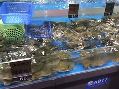 -清水湾3号(东方小周海鲜店)