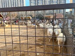 -太原动物园