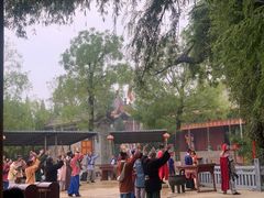 -大槐树寻根祭祖园