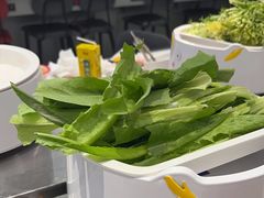 -龍歌自助小火锅(芝罘万达店)