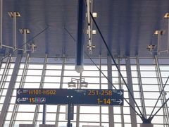 -上海浦东国际机场-T2航站楼