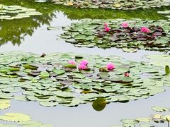 -国家植物园南园