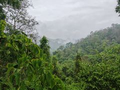 -野象谷景区