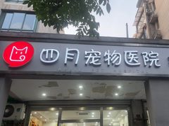 -四月宠物医院·猫专科·心脏专科·内科(转塘店)