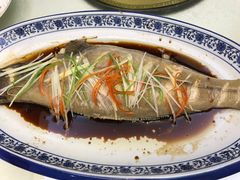 -楼兰印象(朝外店)