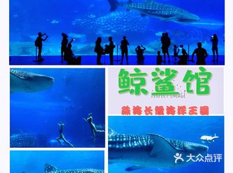 海底五千米的魅力，鲸鲨太震撼了