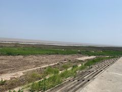 -南汇嘴观海公园