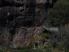 -九曲溪竹筏码头