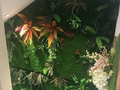 景观位-彤德莱(奥林店)