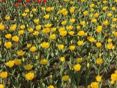 -长春公园(普阳街道)