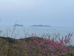 -棒棰岛宾馆景区