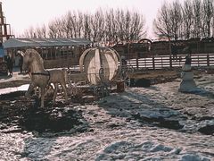 -丁香湖丁香小镇Citypark滑雪公园戏雪嘉年华