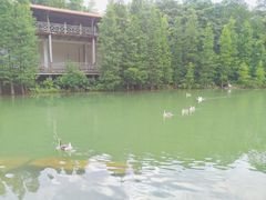 -广州市帽峰山景区