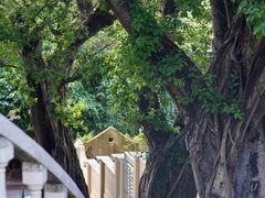 -龙环葡韵住宅式博物馆