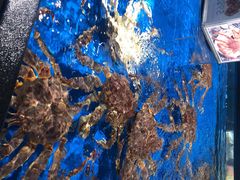 -盒马鲜生(馥邦国际店)