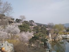 -北京西山国家森林公园