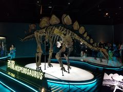 -香港科学馆