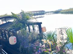 -苏州太湖湖滨国家湿地公园
