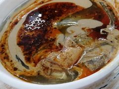 -清真·宏顺祥卤汁凉粉(大皮院店)