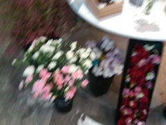 -卓花境Flowerwonderland花店