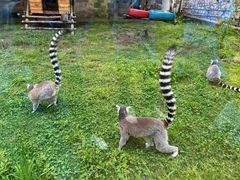 -哈尔滨北方森林动物园